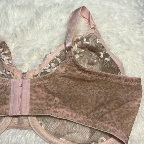Whimsy Romantic Semi Sheer Light Pink Dainty Floral & Leopard Print Bra - Picture 4 of 5